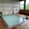Отель Shinnoji Onsen Sagamiya Ryokan, фото 7