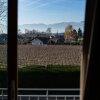 Отель Motel Le Léman, фото 15