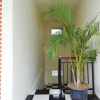 Отель Pucuk Merah 51 Guesthouse Canggu, фото 14