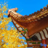Отель Yunqi Lanshan Homestay, фото 7