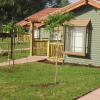 Отель Kibbutz Coutry Lodging Gonen, фото 1