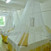 Отель Pineapple Suites, фото 17