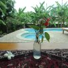 Отель Villa Beranda Kecil, Private Garden, Swimming Pool and Housekeeper in North Bali, фото 18