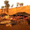 Отель Bedouin Oasis Camp, фото 37