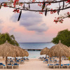 Отель Dreams Curacao Resort, Spa & Casino - All Inclusive, фото 19