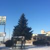 Отель Park Lane Motor Hotel Medicine Hat в Медисин-Хате