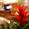 Отель Holiday Inn Southampton, an IHG Hotel, фото 15