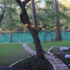 Отель Gruene River Haven: Stunning Riverfront Oasis 1 Mile From Downtown Gruene, фото 15