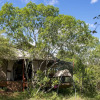 Отель Mara Bush Camp - Private Wing, фото 14