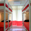 Отель Bunk Bed and Breakfast, фото 4