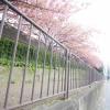 Отель Kiyomori no Baika, фото 22