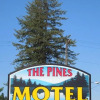 Отель The Pines Motel, фото 2