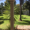 Отель Tanya's Place, фото 25