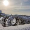 Отель Apartment Schloßblick, фото 9