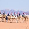 Отель Captains Desert Camp, фото 3