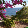 Отель Kavos Bay Seafront Hotel, фото 5