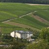 Отель BENZ Weingut & Weinhotel, фото 1