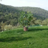 Отель Agriturismo Casanuova di Pietrafitta, фото 7