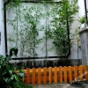 Отель Yazhi House (Tengchong County Heshun Ancient Town), фото 2