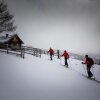 Отель Urlaub am Bauernhof Familie Harald Gänser, фото 20