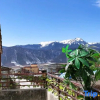 Отель Donkey House Youth Hostel (Shangri-La Dukezong Ancient City Branch), фото 8