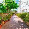 Отель Atalaya Bosque Apartamentos, фото 38