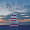Отель The Colony Hotel, фото 16