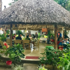 Отель Hostal Casa Huasteca, фото 14