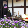 Отель Nokwon Hanok Guesthouse, фото 13