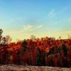 Отель Windstorm Cabin, фото 1