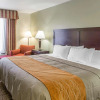 Отель Comfort Inn Franklin Highway 96, фото 2