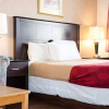 Отель Econo Lodge Inn & Suites Kamloops, фото 5