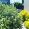 Отель Xiao Tian Di Homestay, фото 15