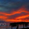 Отель Moana Surf Resort, фото 25