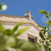 Отель Masseria Santo Scalone, фото 20
