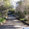 Отель Petra Mountain Retreat and Conference Centre, фото 3