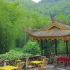 Отель Yibin, Sichuan Bamboo Sea of Emerald Hills, фото 13