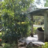 Отель Buderim Fiesta Motel, фото 11