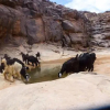 Отель Bivouac Les Nomades, фото 20