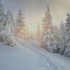 Отель Scoiattolo, фото 24
