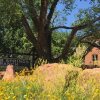 Отель Moab Springs Ranch by RedAwning, фото 38