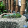 Отель Heyuan Holiday Guesthouse, фото 9