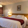 Отель Radium Park Lodge, фото 6