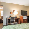 Отель Comfort Inn Edinburg South, фото 6