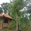 Отель Homestay An-Nur - Hostel, фото 19