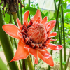 Отель Casa Nativos, фото 30