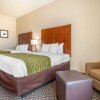 Отель Comfort Inn & Suites Galt - Lodi North, фото 33