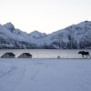 Отель Lyngen North, фото 22