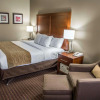 Отель Comfort Inn & Suites Riverview near Davenport and I-80, фото 7
