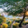 Отель Island of Green, фото 16